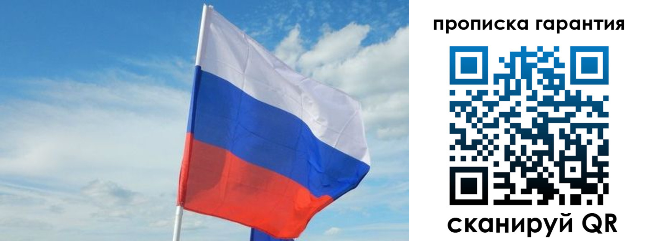 прописка для школы в Александрове